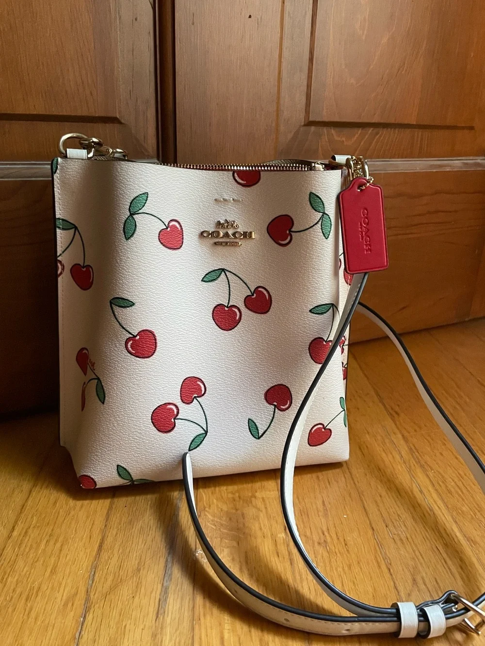 Coach Mollie Bucket Bag 22 in cherry print